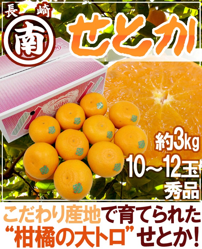 長崎産 ”マルナンせとか” 大玉 10〜12玉 約3kg 化粧箱【予約 2月以降
