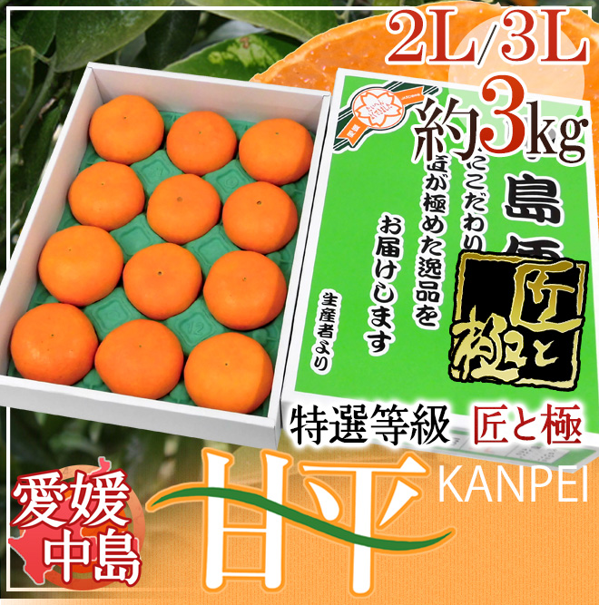 甘平 9kg 傷あり　2L 〜3L 愛媛県松山市産 希望の島 甘平(かんぺい) 家庭用 約3kg 愛媛 中島産 | 愛媛県松山市