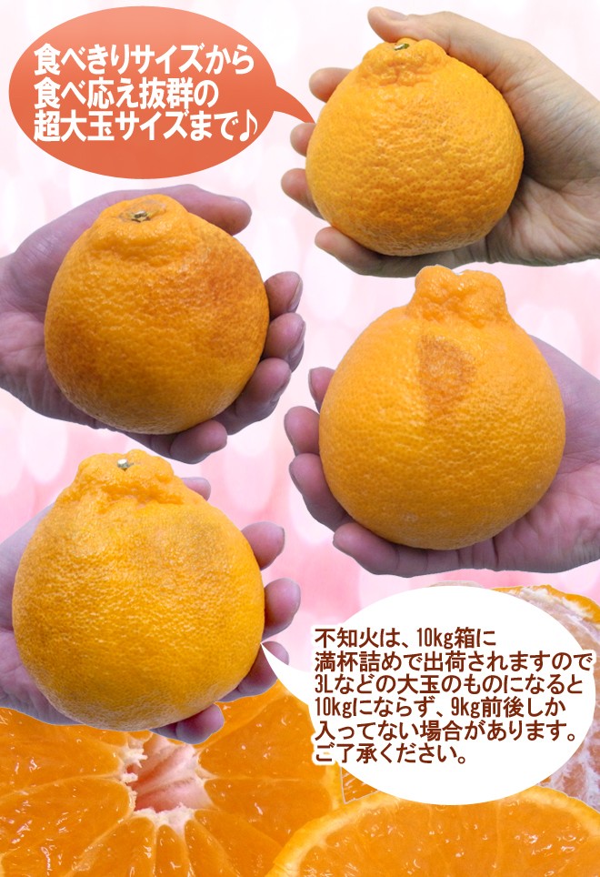 和歌山有田産　デコポン(不知火) 10kg 数量限定❤️和歌山県 有田産❤️デコポン不知火❤️10kg❤️早い者