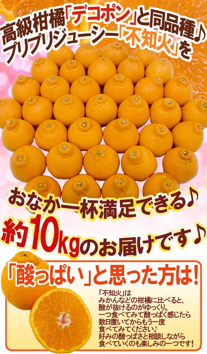 和歌山 有田産 不知火・しらぬい（訳ありデコポン）” 約10kg 大きさ