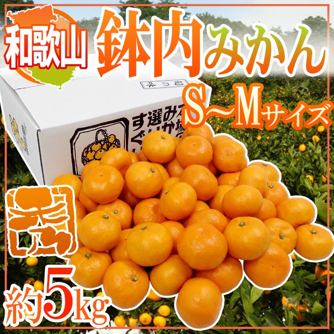みかん ”和歌山・有田産 鉢内みかん” 秀品 S〜Mサイズ 約5kg はちうち