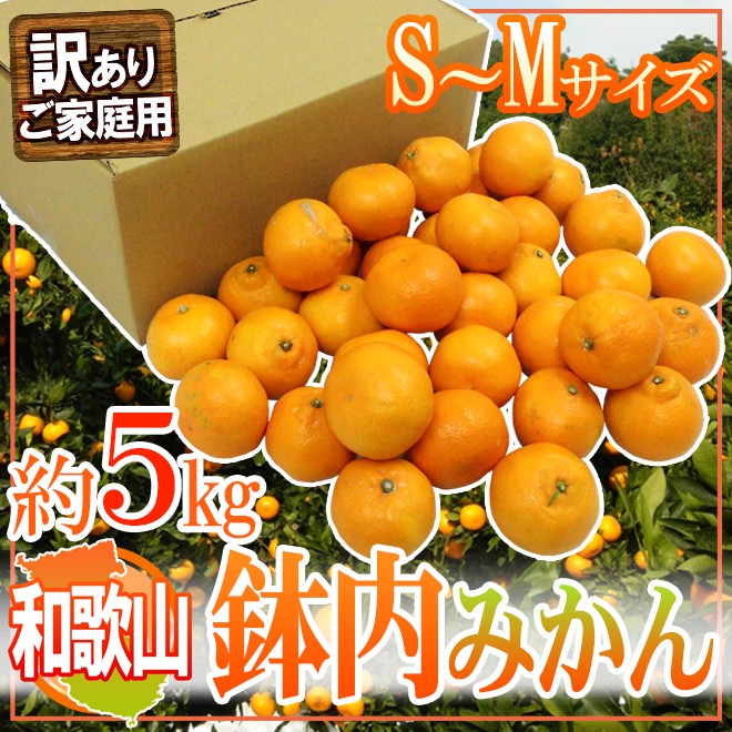 みかん 和歌山・有田産 ”鉢内みかん” 訳あり S〜Mサイズ 約5kg はちうちみかん【予約 11月末以降】 送料無料  :2017999-hatism5kgw:くらし快援隊 - 通販 - Yahoo!ショッピング