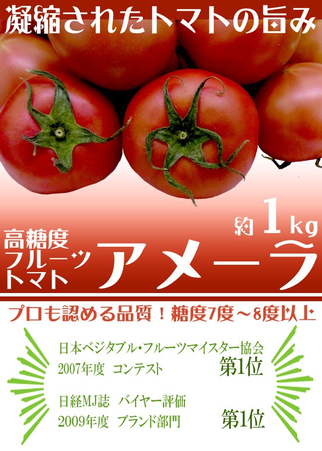 静岡県産 ”高糖度フルーツトマト アメーラ” 10〜20個前後 約1kg 化粧