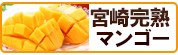宮芒果