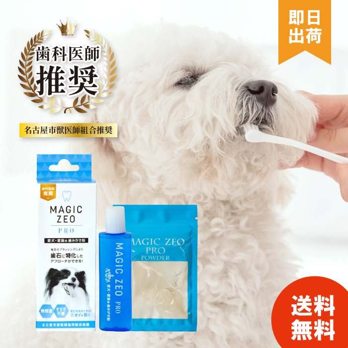 マジックゼオプロ マジックゼオデイリー 犬 猫 歯石取り 歯磨き