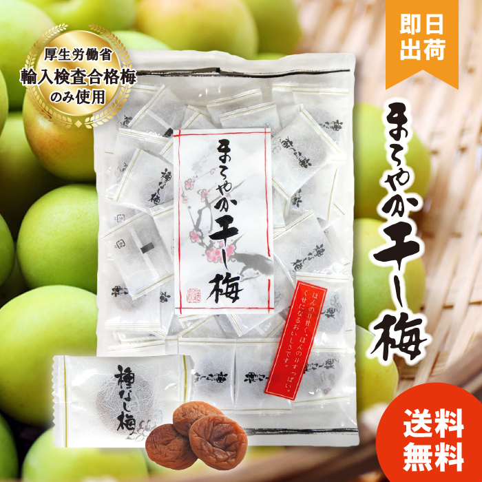 干し梅 種なし 個包装 160g 梅干し おつまみ 熱中症対策 塩分補給