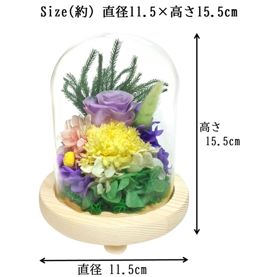 スープ プリザーブドフラワー ガラスドーム 真帆 C37020 仏花 仏壇用