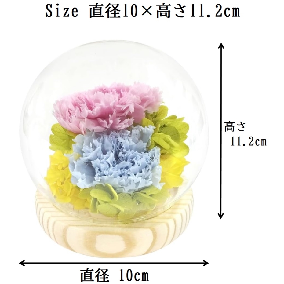 スープ プリザーブドフラワー スフィアドーム 優 C37125 ピンク