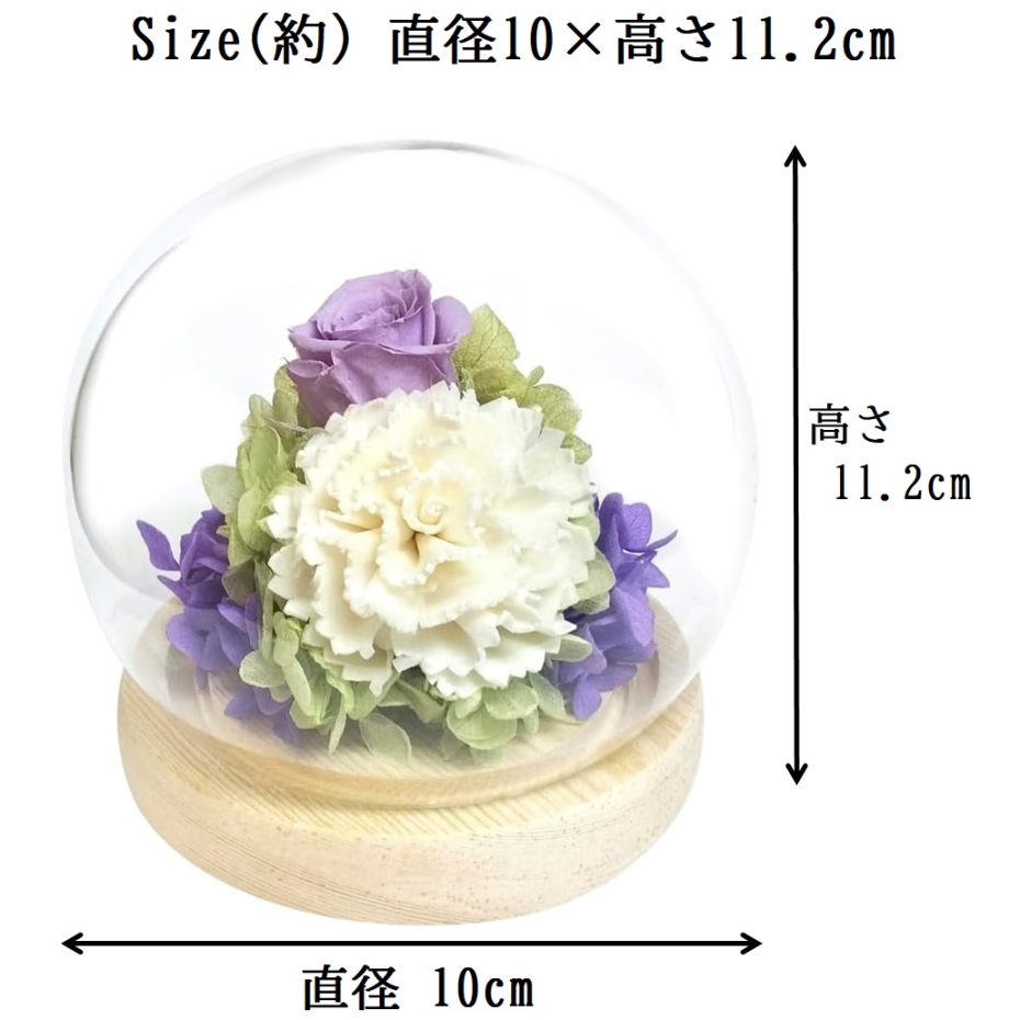 スープ プリザーブドフラワー スフィアドーム 萌 C37106 パープル 仏花