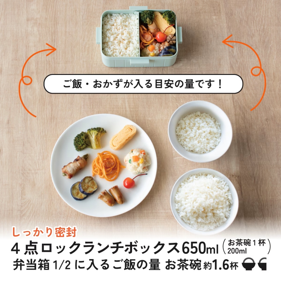 スケーター （宅急便コンパクト） Skater YZFL7 4点ロックランチ