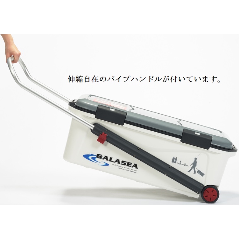 SANKA サンカ ギャラシー 大型クーラーボックス 50L アクティブ 