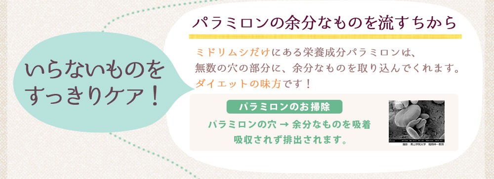 現代の食生活で不足しているものを補う力、余分なものを流す力を持っています。