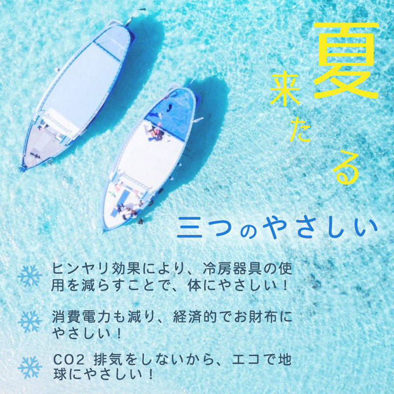 アイスバック