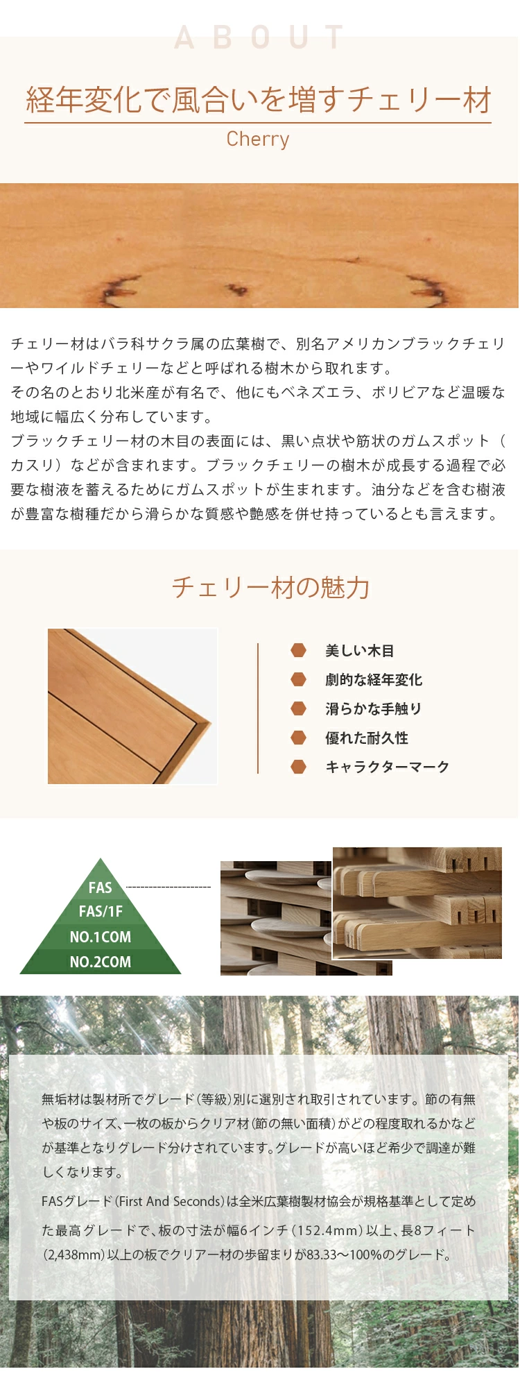 ドレッサー