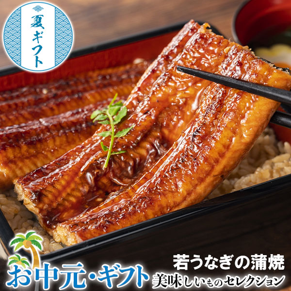 お中元 若 うなぎ の 蒲焼 鹿児島県産 築地魚力 約120g×3尾 タレ 山椒付き ※冷凍 お取り寄せ グルメ 贈物 御中元 N02-045042 ギフト広場