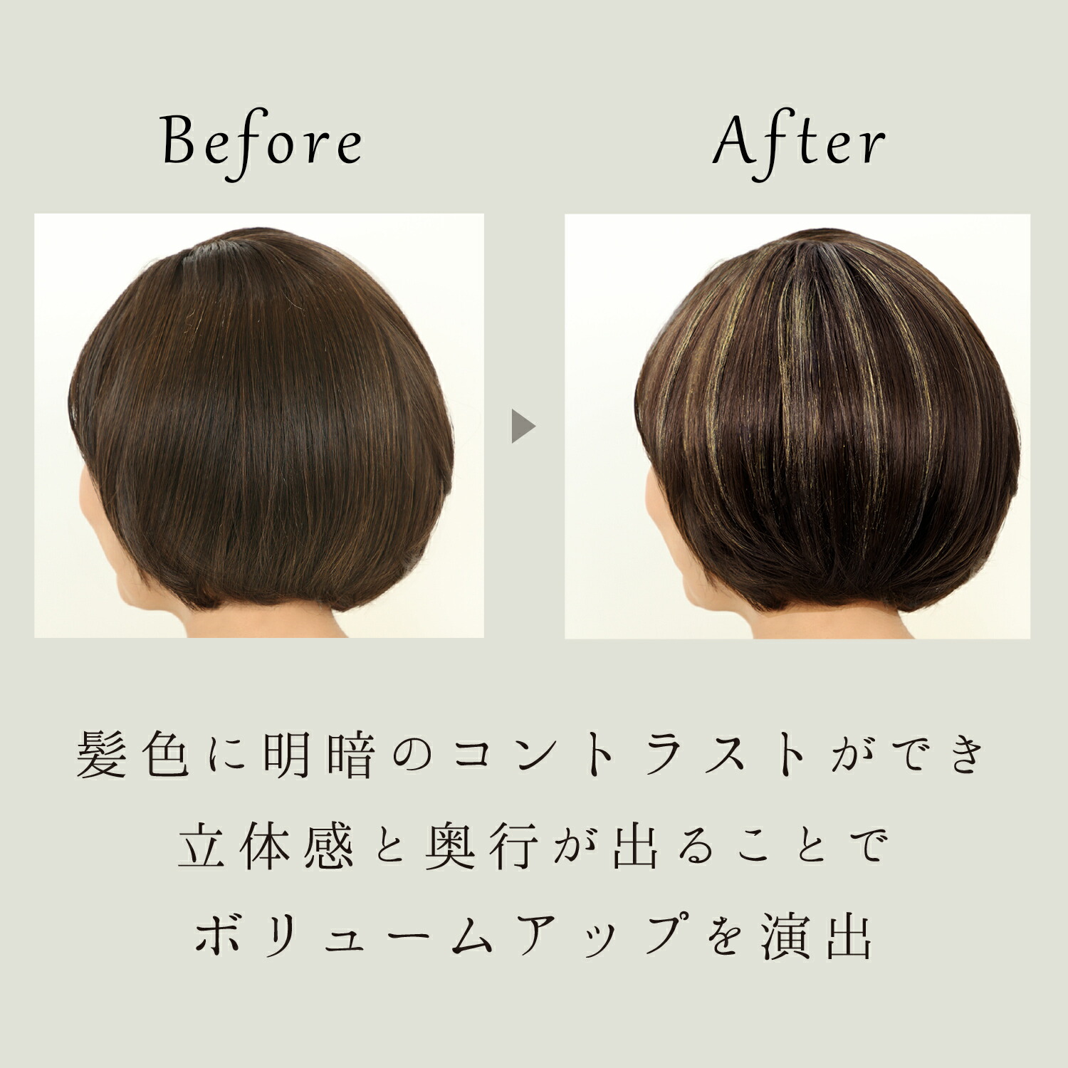 imgrc0088653286.jpg