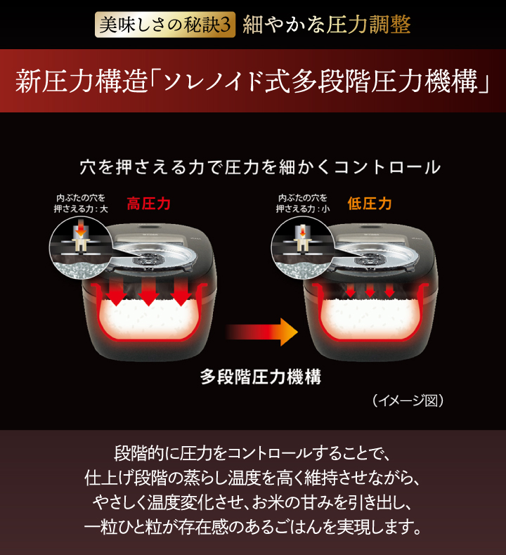 炊きたて タイガー 圧力IHジャー炊飯器 5.5合炊き JRI-B100 日本