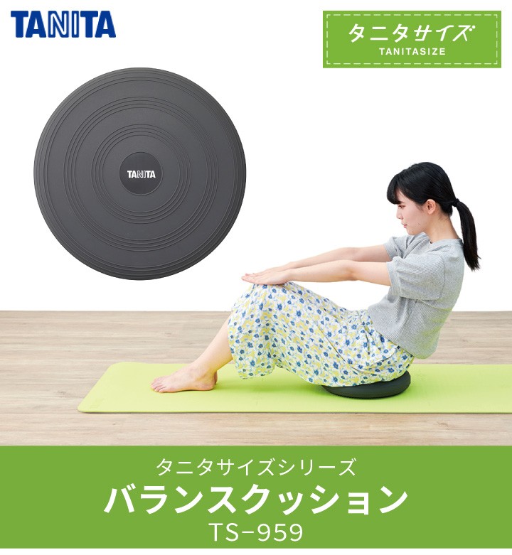 TS-959-GY タニタ タニタサイズ バランスクッション TANITASIZE : 028 