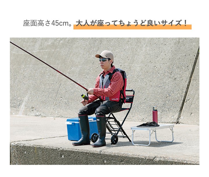 CAPTAIN STAG（キャプテンスタッグ） チェアキャリー UL-1005