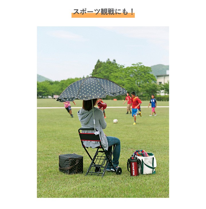 CAPTAIN STAG（キャプテンスタッグ） チェアキャリー UL-1005