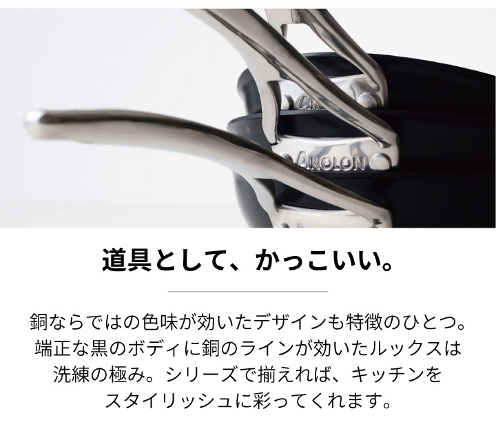 MEYER（マイヤー） アナロン ルクス フライパン 24cm AC3-P24 : くらし