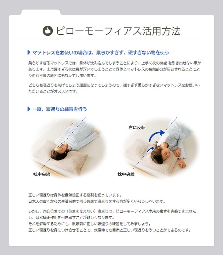 ドクターエル ピローモーフィアス まくら ピロケース付セット ドクターエル ピローモーフィアス まくら ピロケース付セット