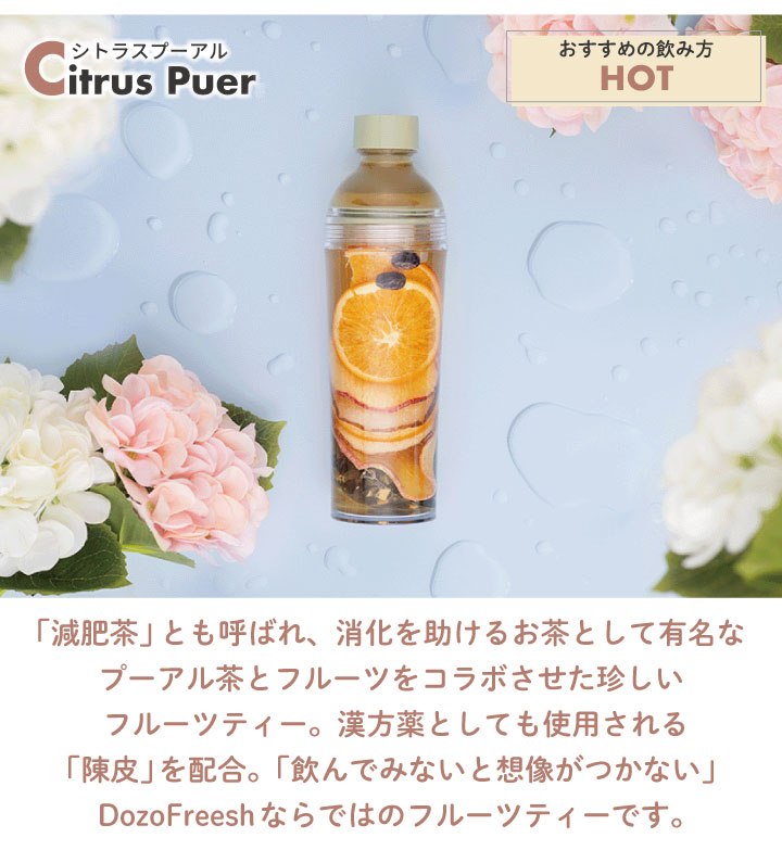 dozo freesh フルーツティー 選べる2種セット（2） MulberreyWine CitrusPuer BlushIchijiku StarEmerald｜kurashiya｜12