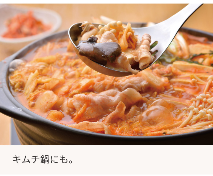 レイエ オークス 水切りレードル LS1508 おたま 穴あきおたま すくう