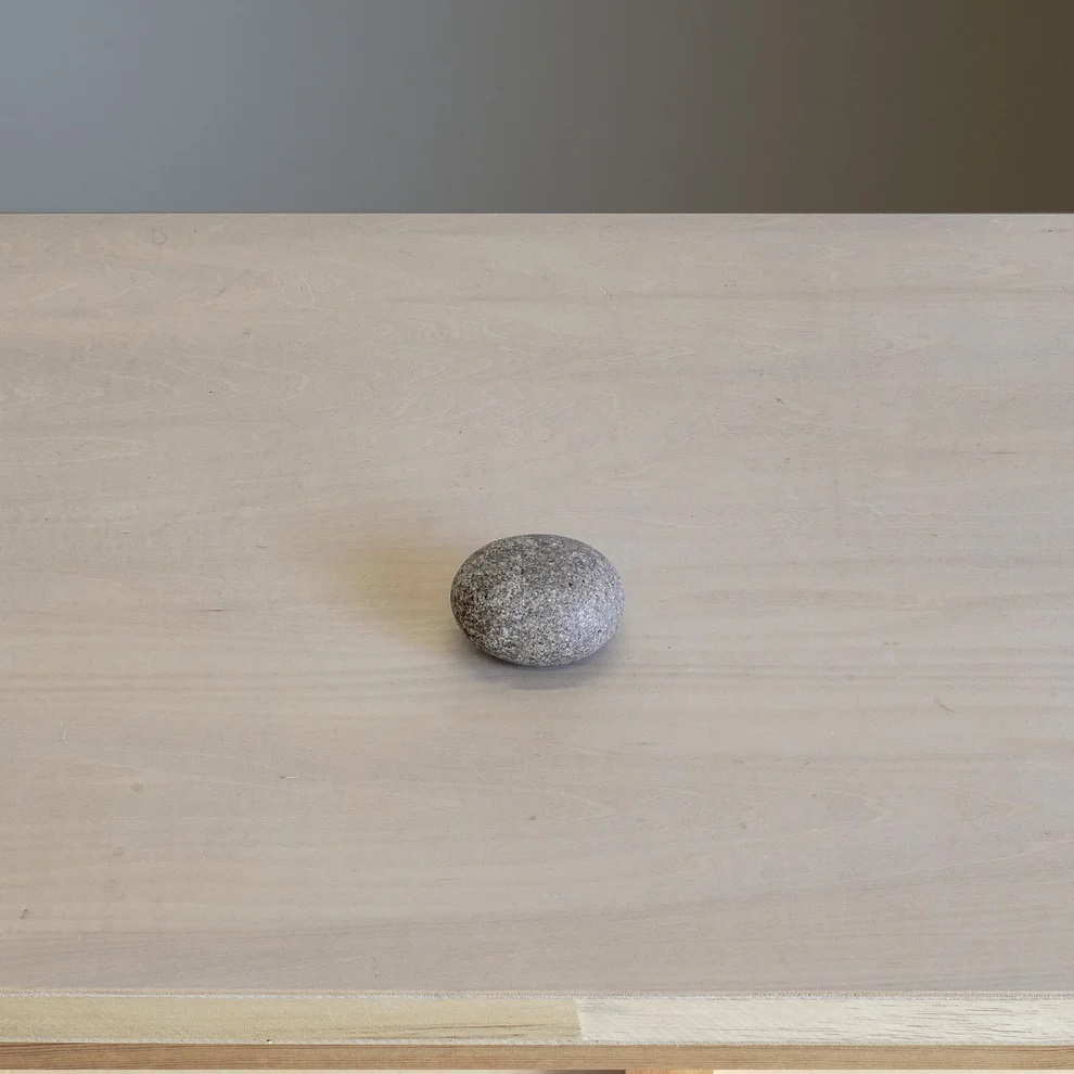 アロエキャンディページ 2023.2.23 両店ともにインドアプランツ多数入荷しております🌱