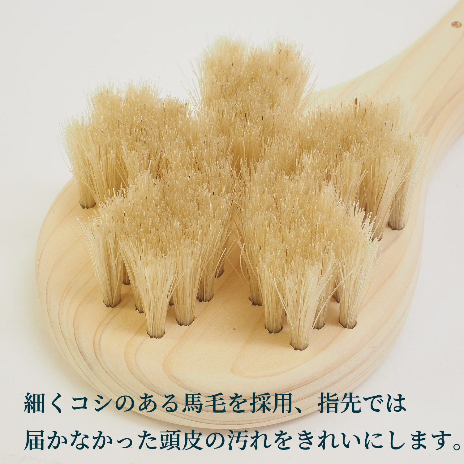 浅草アートブラシ 白馬毛の頭皮ブラシ さくら スカルプブラシ