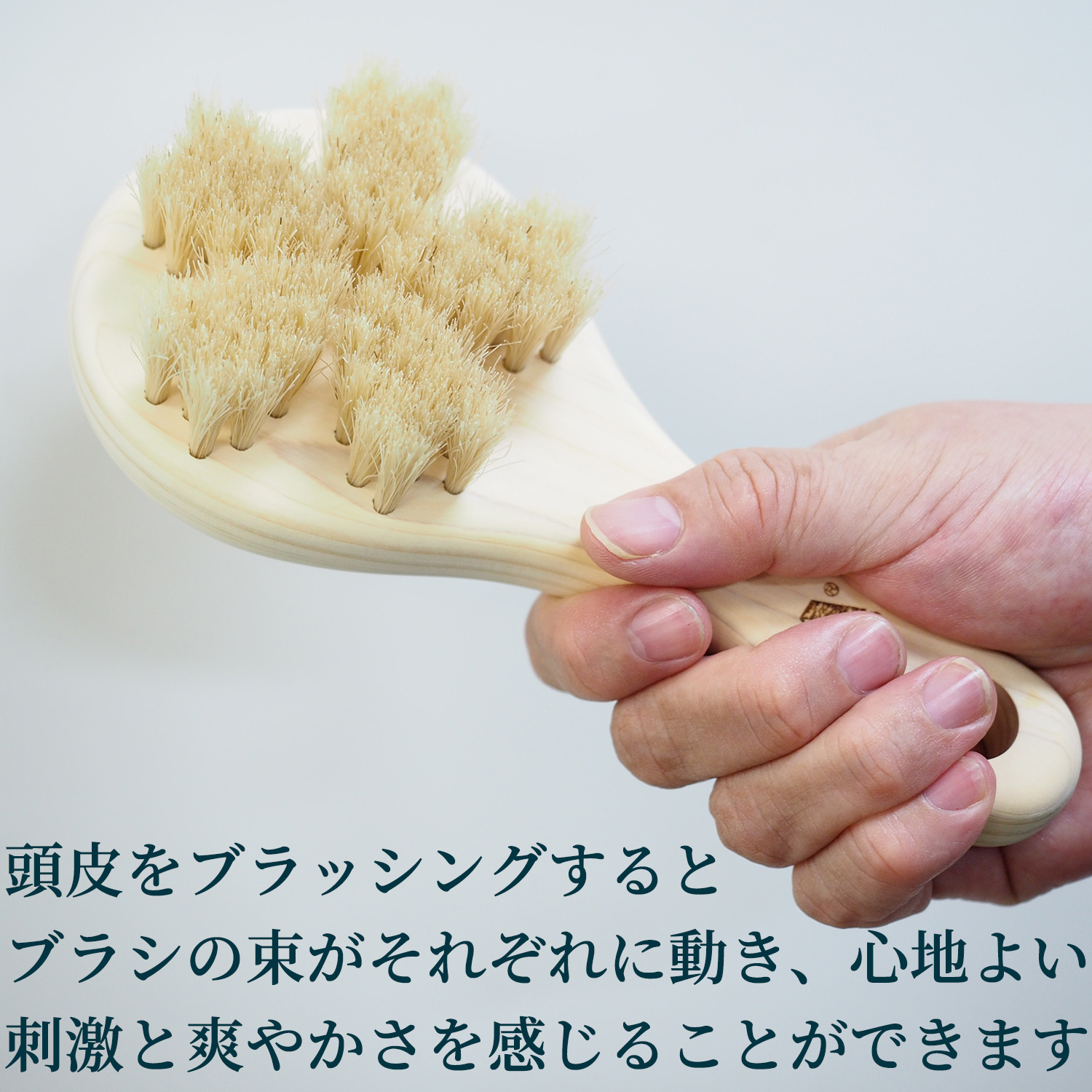 浅草アートブラシ 送料無料 白馬毛の頭皮ブラシ さくら スカルプブラシ