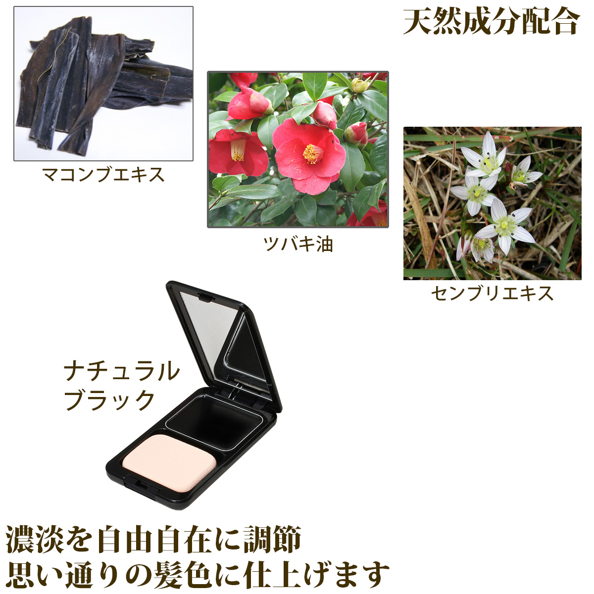 Tommy Rich（トミーリッチ） 1個 白髪隠し 美髪ファンデーション‐ヘア