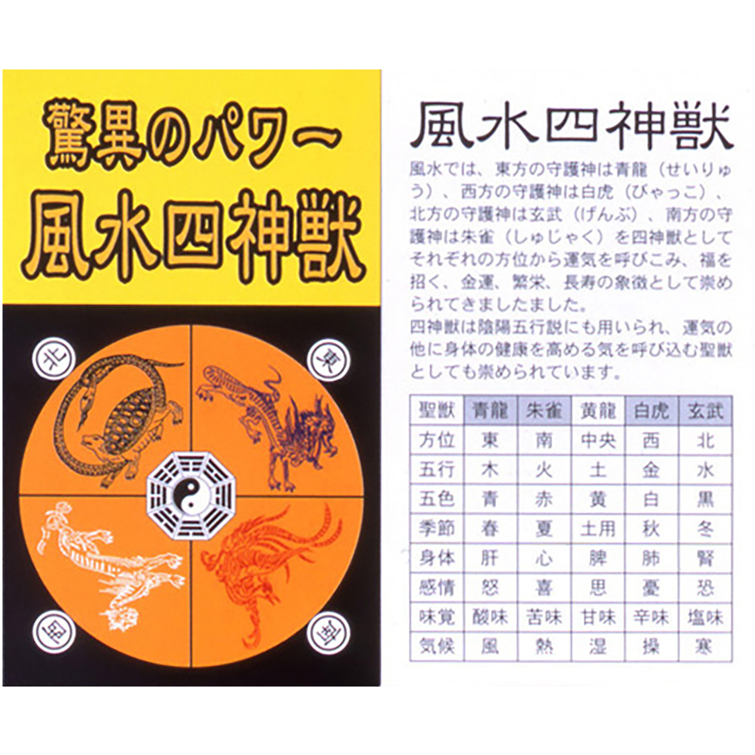 ゴージャス四神獣水晶ブレス‐BL_490 四神獣 青龍 白虎 朱雀 玄武 水晶 白水晶 紫水晶 爆裂黄水晶 ロンデル パワーストーン クリスタルパワー ブレスレット｜kurazo｜04