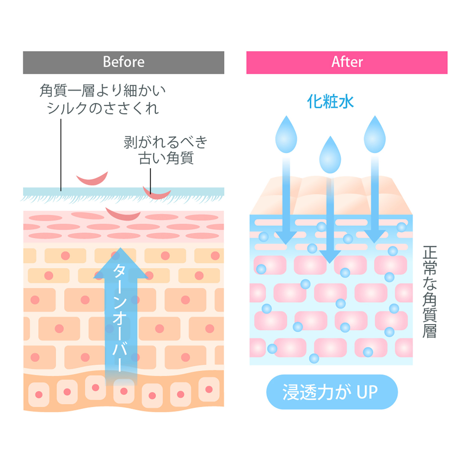 京都シルク 京都しるく 絹羽二重 珠の肌パフ 白 ‐ 洗顔 パフ 毛穴 角質