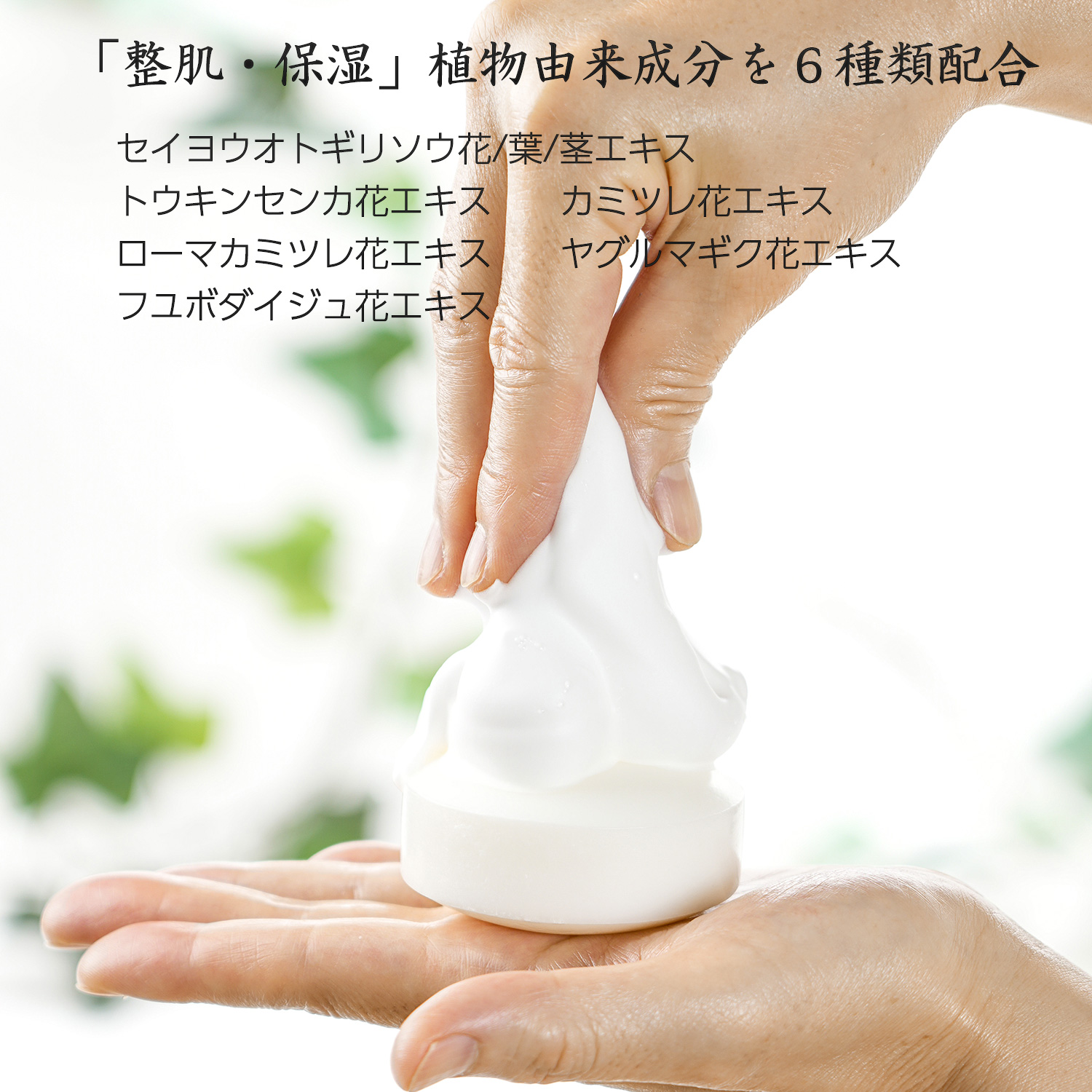 化粧水、石鹸 しらかばえきたいせっけん 台所用｜ねば塾