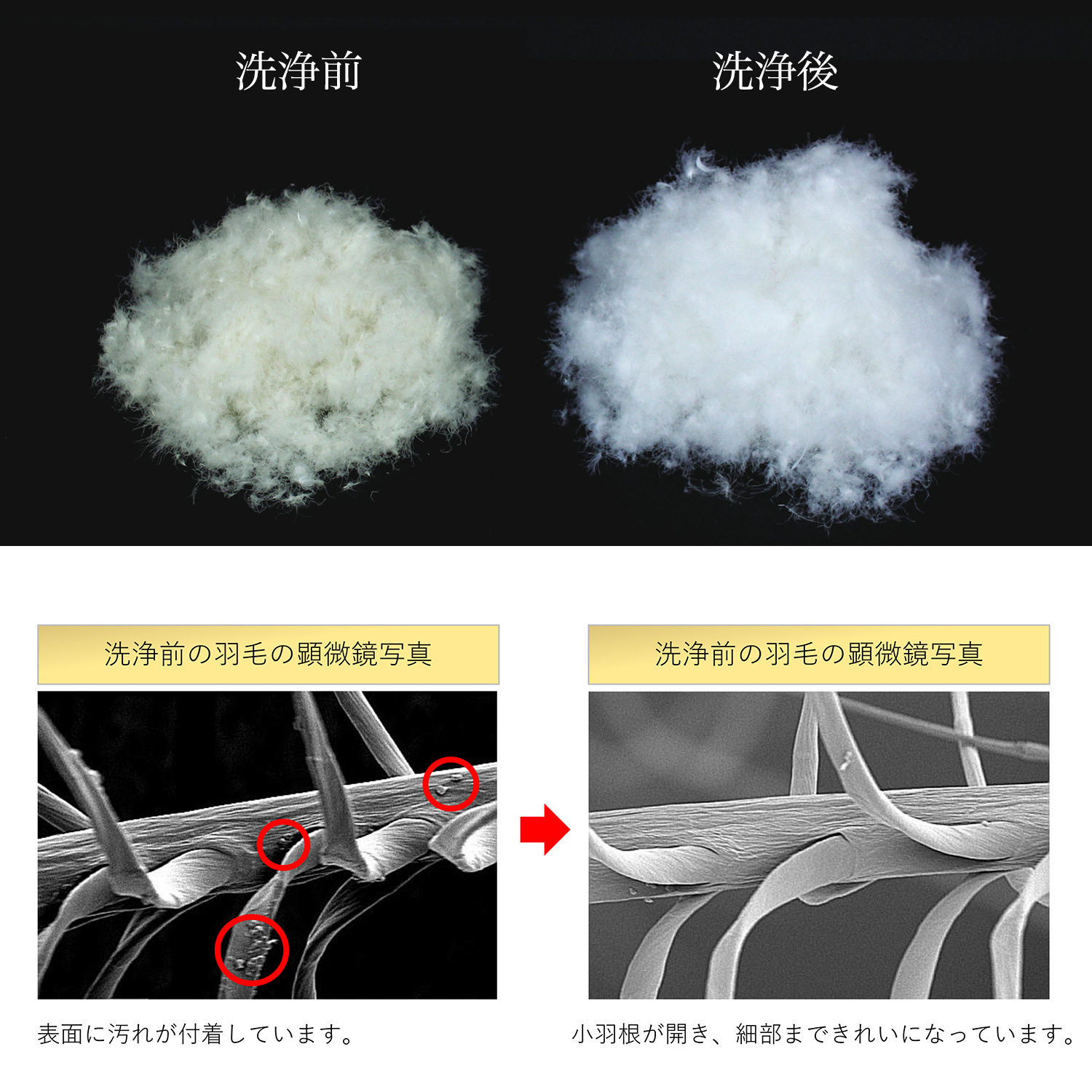 ホワイトダウン90% 羽毛布団 洗濯、乾燥済み ホワイトダウン90% 羽毛布団 洗濯、乾燥済み