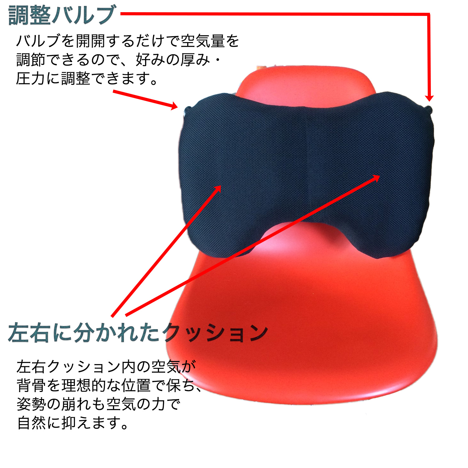 メーカー直送】ハイブリッド腰クッション エルゴバックス‐EB09150 骨盤