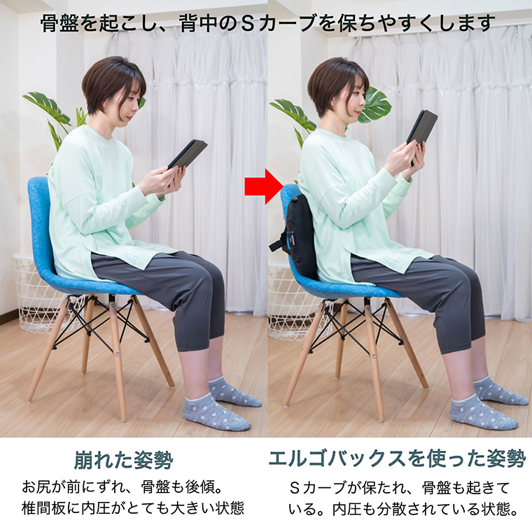 メーカー直送】ハイブリッド腰クッション エルゴバックス‐EB09150 骨盤