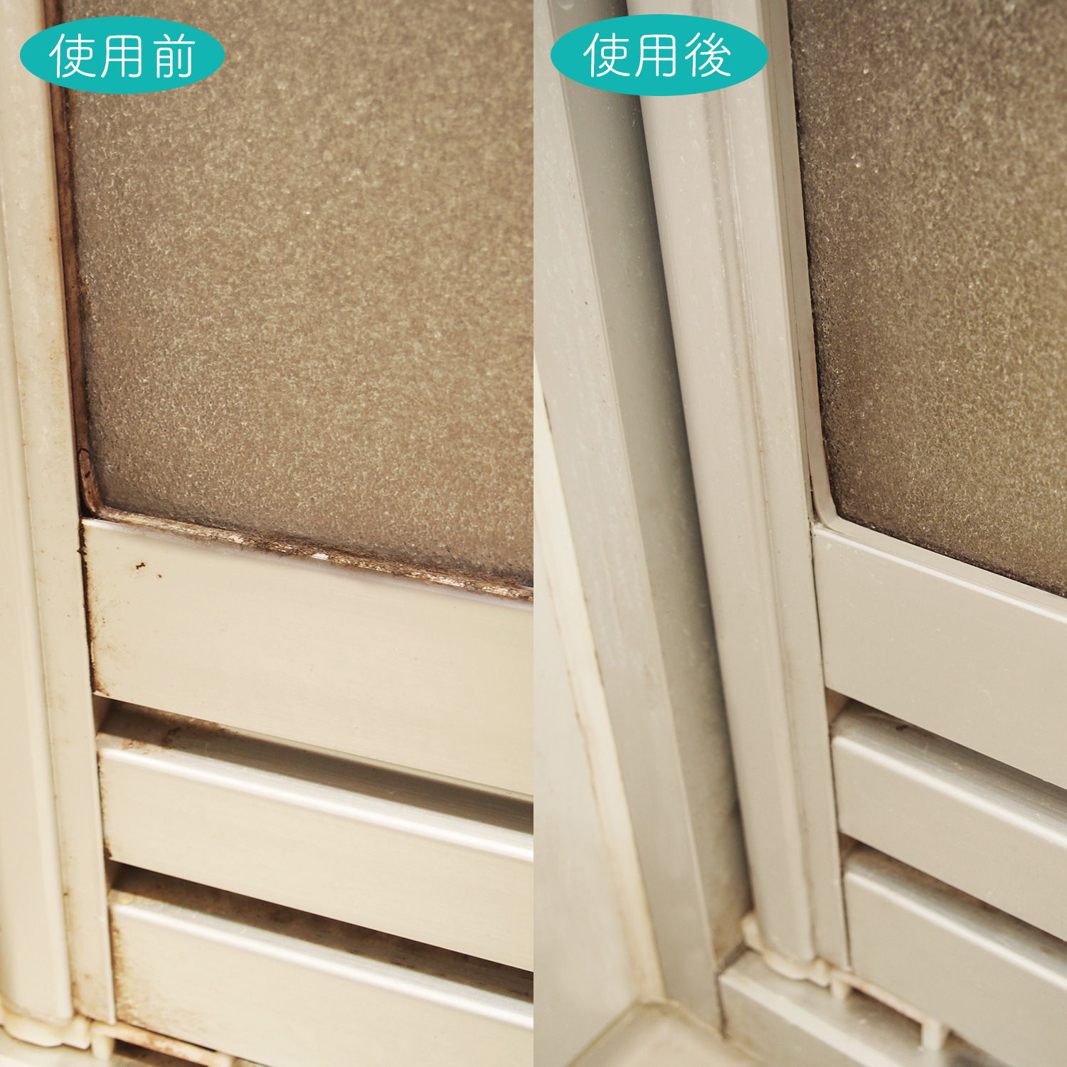 富士パックス販売 【3箱セット(1箱/100g×3包)】酵素系 洗濯槽