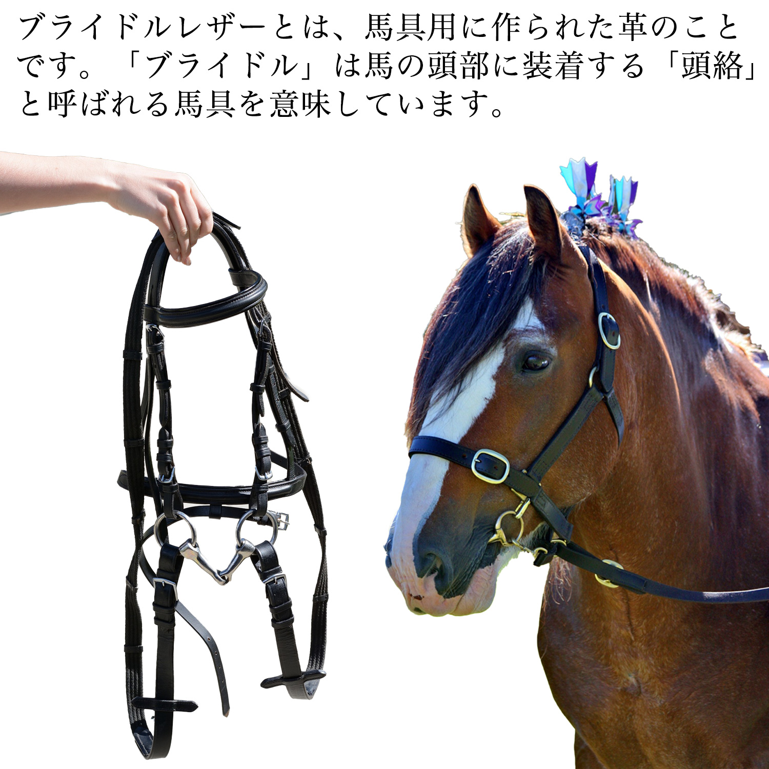 FRUH（フリュー）ブライドルレザー スマートショートウォレット‐日本製