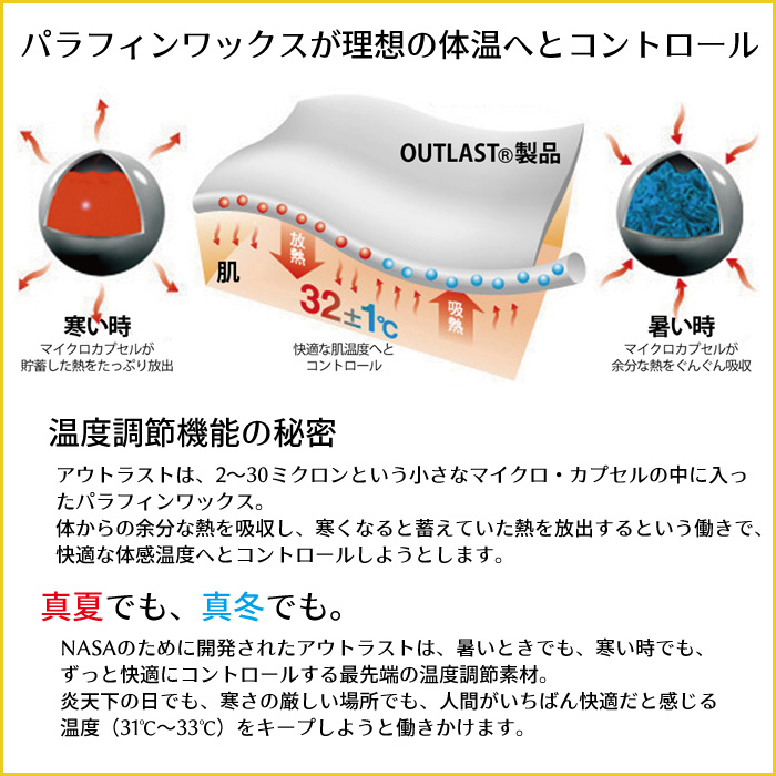 ハイダス 背中サポート ベルト-背筋サポート 姿勢矯正 背筋矯正 猫背
