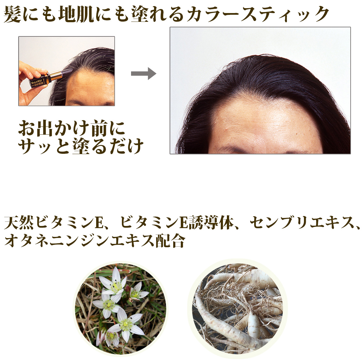 送料無料 白髪隠し 部分かくし トミーリッチ ヘアカラー 黒髪カラースティック‐スティックタイプ 白髪かくし 部分染め 育毛 抜け毛 天然成分配合 簡単