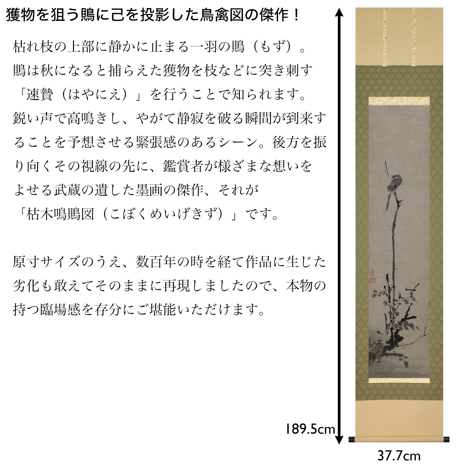 未使用　掛軸　宮本武蔵　書画名品選　3本　複製　木箱 Yahoo!オークション - 「3本)掛け軸」掛軸 (書) の落札相場・落札価格