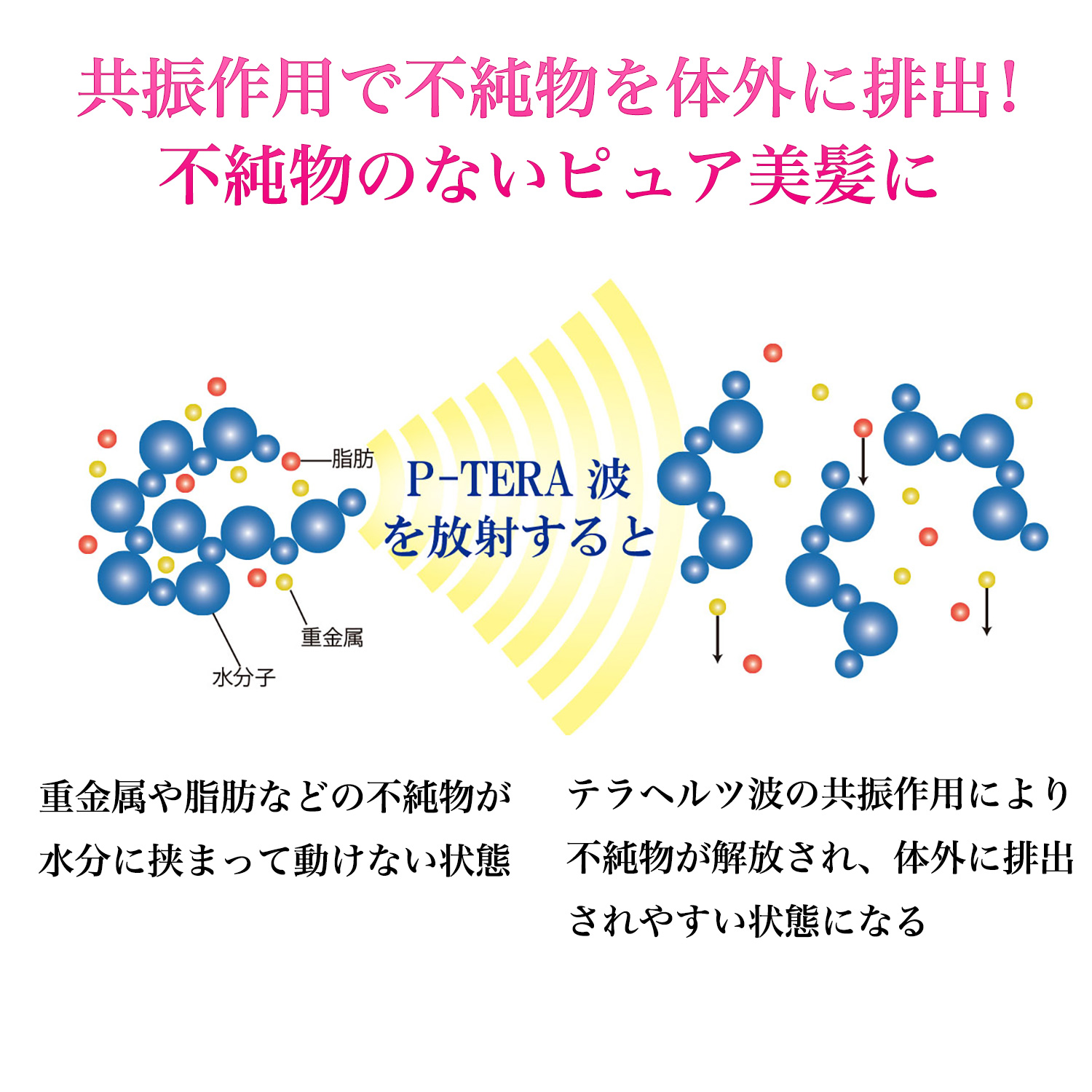 テラリッチ 美髪ナイトキャップ OM_281‐ テラヘルツ ナイトキャップ