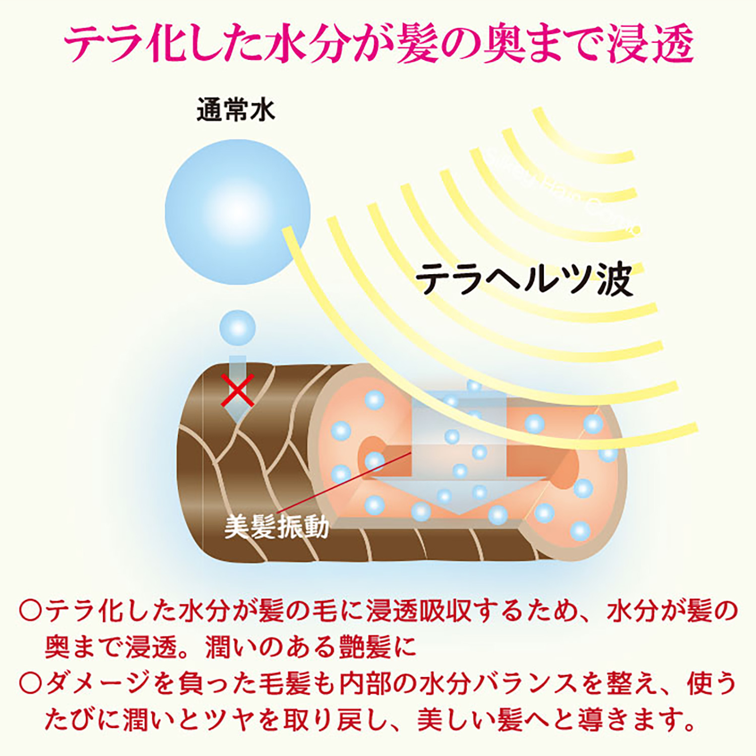 テラリッチ 美髪ナイトキャップ OM_281‐ テラヘルツ ナイトキャップ