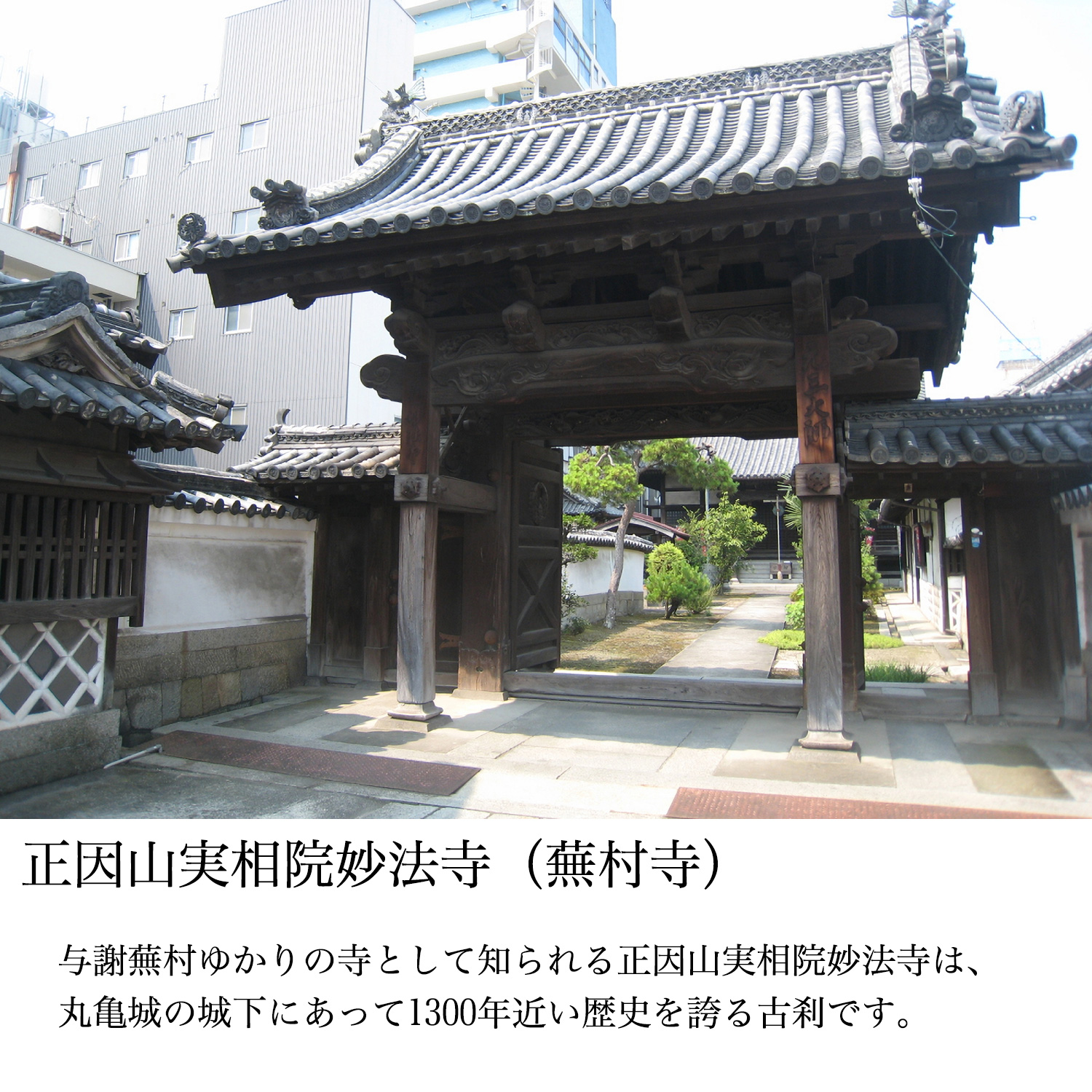 メーカー直送 十二支木彫りコレクション「辰（たつ）」正因山実相院