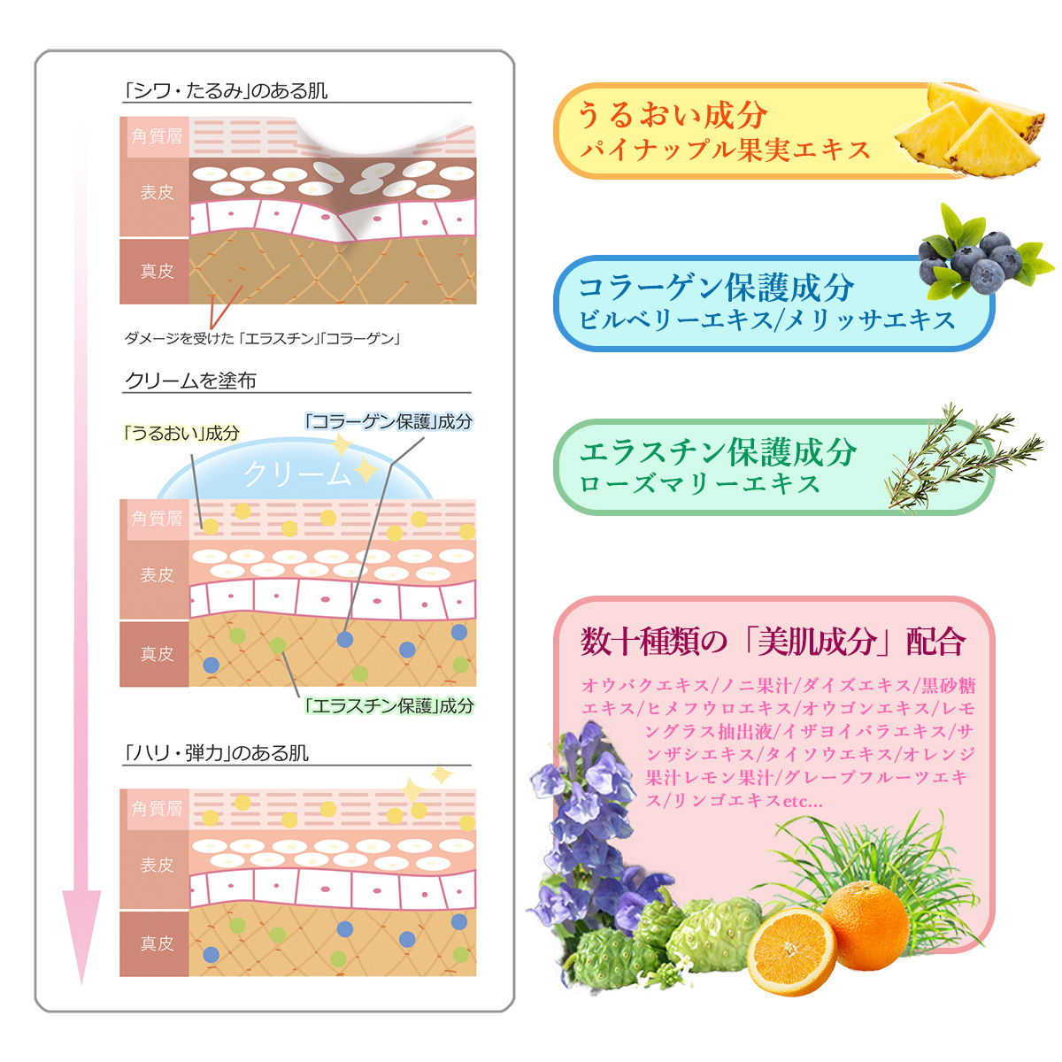 Tommy Rich（トミーリッチ） 送料無料 医薬部外品 薬用 Wリンクル 美白