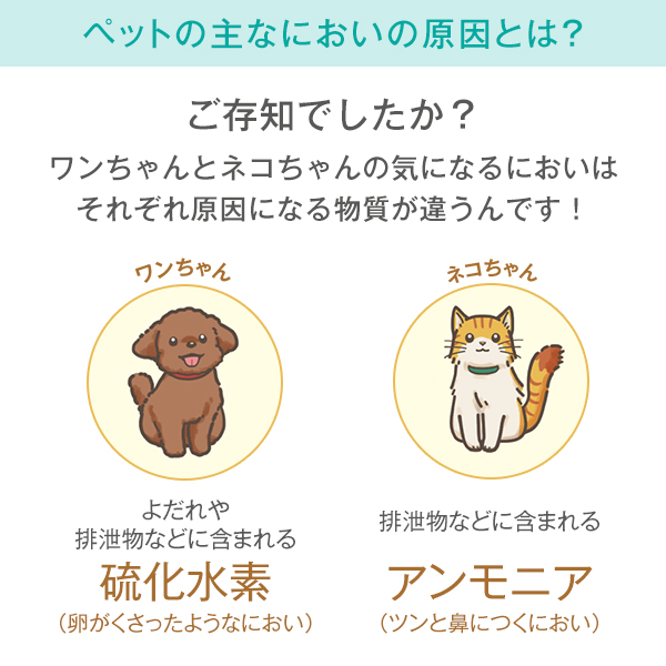 BONUS STORE|3/12〜13 23:...の詳細画像1