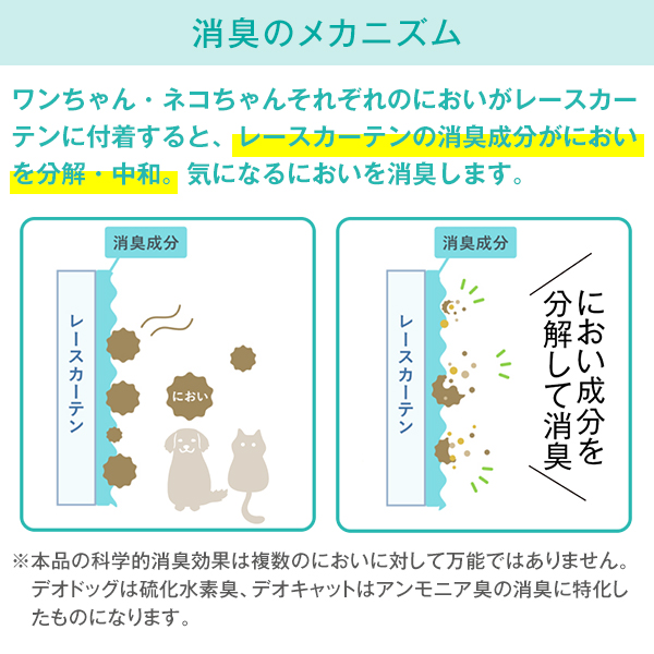 BONUS STORE|3/12〜13 23:...の詳細画像3