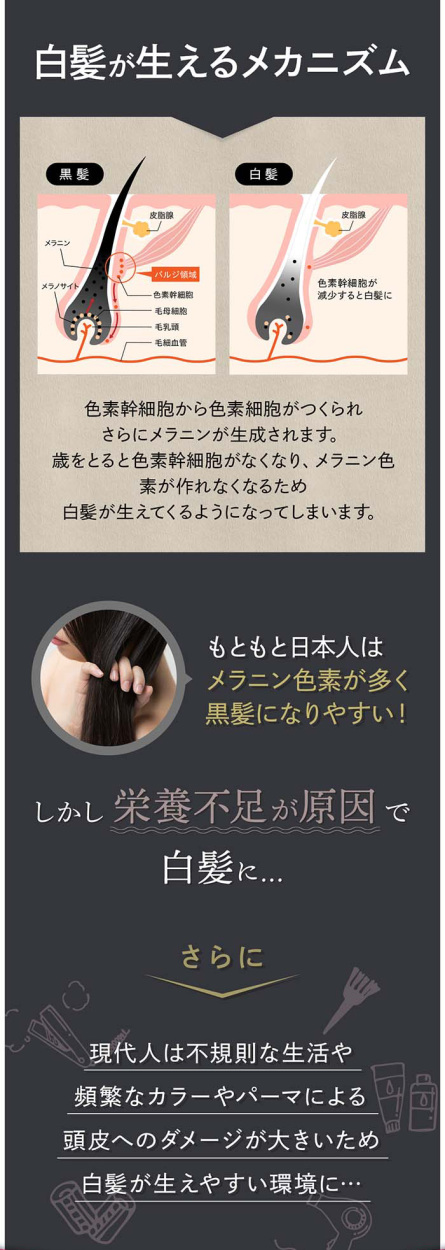 発酵　黒髪シャンプー　KUROHA 詰替用 Amazon | 【期間限定15％OFFクーポン付き】KUROHA クロハ 発酵